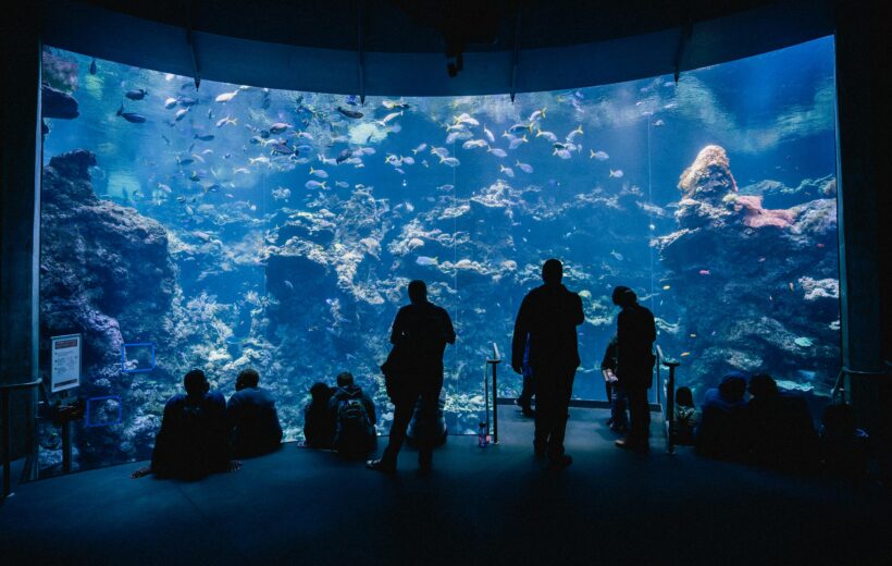 Dubai Aquarium and Underwater Zoo